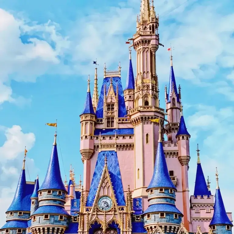 Disney wedding theme castle.