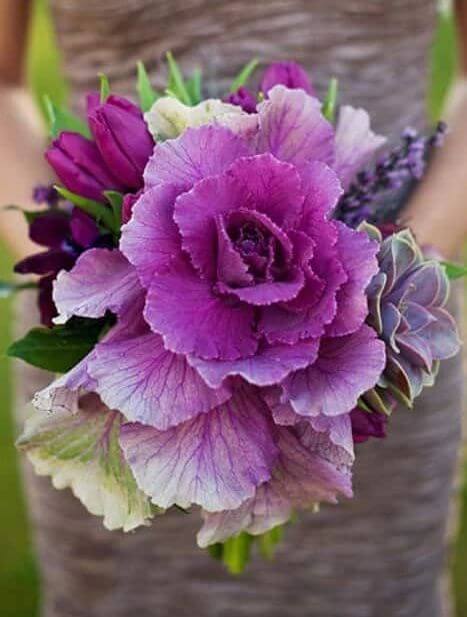 Bold bridal bouquet Bold purple bridal bouquet. Cabbage and succulent wedding bouquet at Dallas wedding venue near me.