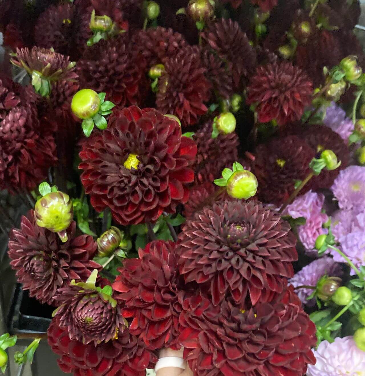 Fall Wedding Color