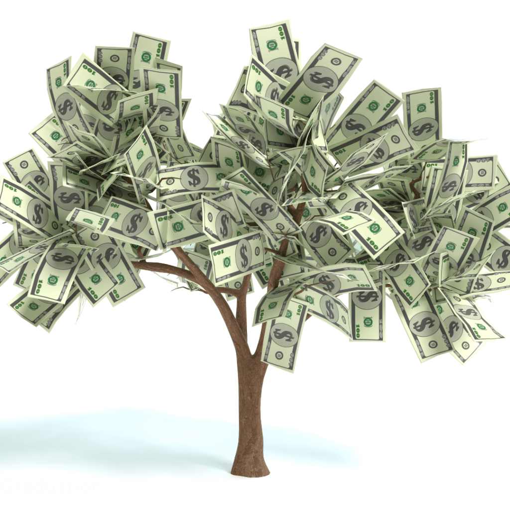 graduation money tree, graduation party gift ideas, graduation party ideas, East Texas graduation party, Corsicana graduation party ideas