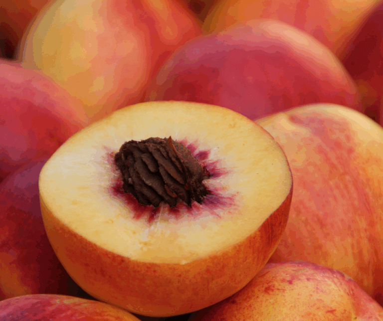 Things to do Near Dallas: Parker County Texas Peach Festival