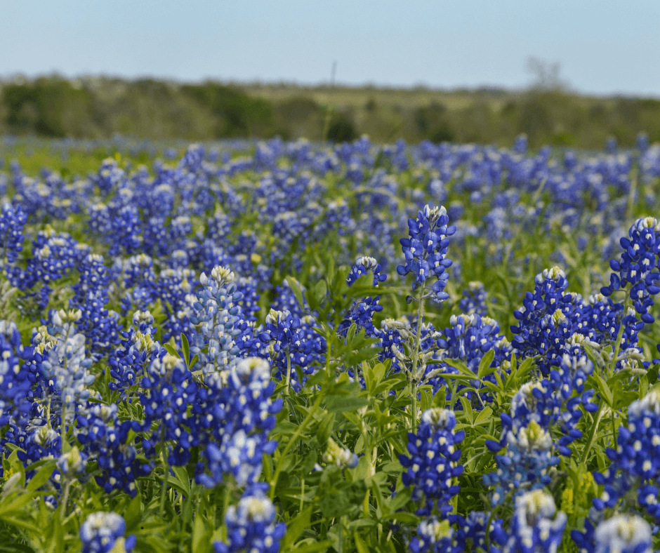 10 Reasons to Visit Enchanted Rock State Natural Area