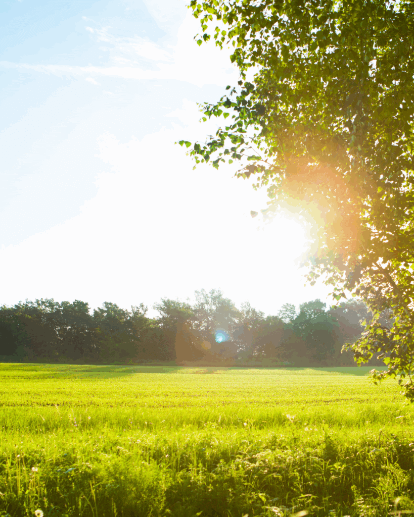 golden hour, Texas Morning wedding, morning wedding timeline, summer wedding vibes, wedding venue in Dallas, Texas lake wedding venue