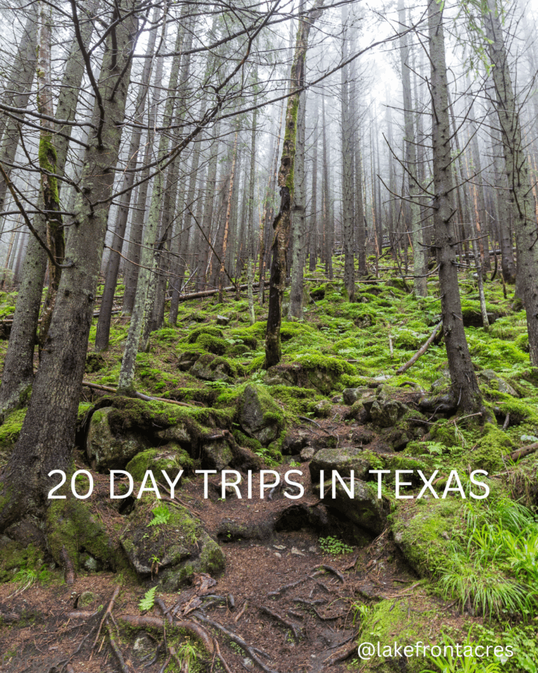 Day Trips Texas