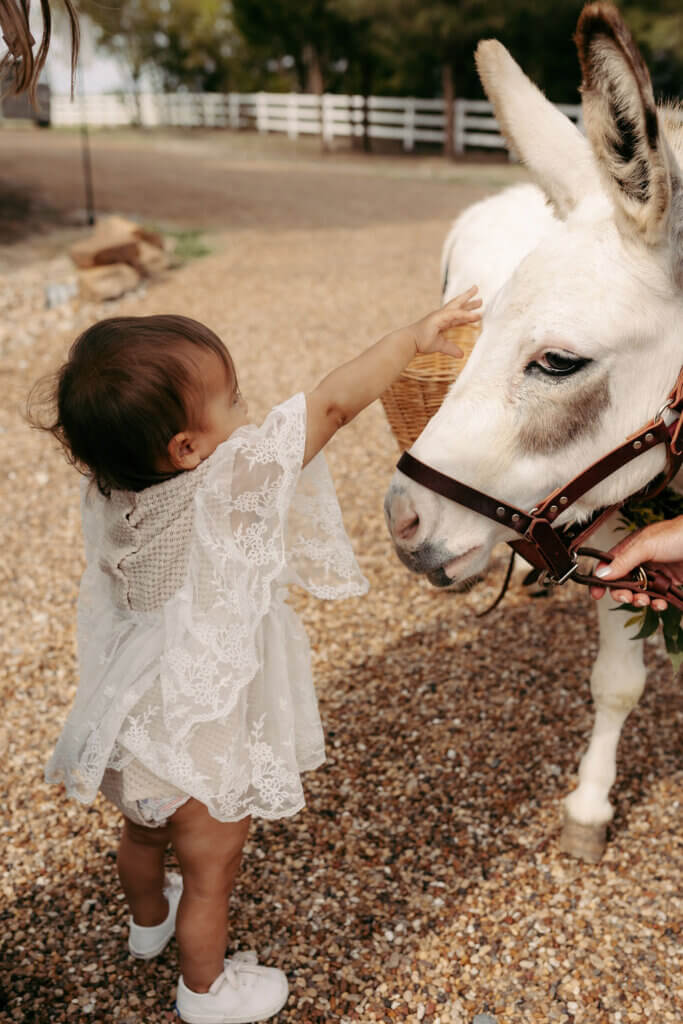 Sweet Ass Servers beer donkey entertaining guests at a Texas wedding venue